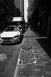 Sea cucumbers drying in the street, Sheung Wan, 24 August 2016