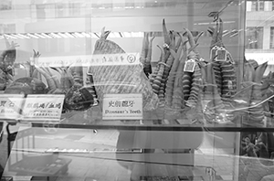 Dinosaur teeth and antelope horn on display in a dried food shop, Queen's Road West, Sheung Wan, 27 August 2016