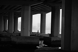 Fishing underneath the Island Eastern Corridor,  Hong Kong Island, 28 August 2016