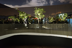 At the opening of 'Tsang Kin Wah: Nothing' at the M+ Pavilion, West Kowloon Cultural District, 8 September 2016