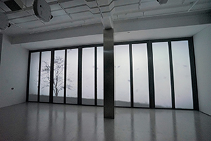 At the opening of 'Tsang Kin Wah: Nothing' at the M+ Pavilion, West Kowloon Cultural District, 8 September 2016