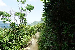On the hiking path around Violet Hill, Tai Tam Country Park, 18 September 2016