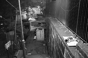 Sheung Wan at night with sleeping cat, 15 September 2016