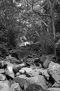 Pokfulam Country Park, 17 September 2016