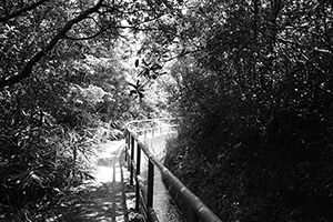 Path in Tai Tam Country Park, 18 September 2016
