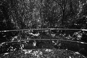 Path in Tai Tam Country Park, 18 September 2016