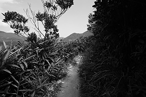On the hiking path around Violet Hill, Tai Tam Country Park, 18 September 2016