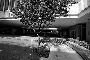 Shadows,  HKU campus, Pokfulam, 21 September 2016