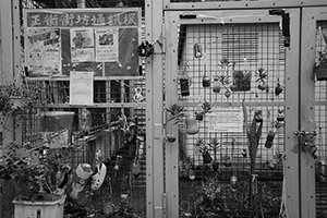 Community notice board, Centre Street,  Sai Ying Pun, 6 September 2016