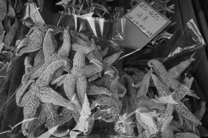 Dried starfish for sale, Des Voeux Road West, Sheung Wan, 4 September 2016