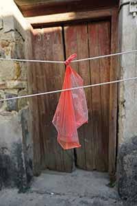 Red plastic bag, Po Toi O village, Clear Water Bay, 11 December 2016