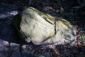 A Rock in Lung Fu Shan Country Park, Hong Kong Island, 26 December 2016