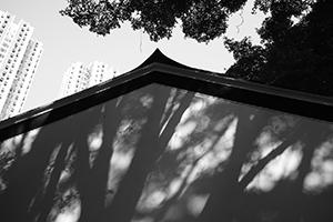 Detail of roof, Sam Tung Uk Museum, Kwu Uk Lane, Tsuen Wan, 21 January 2017