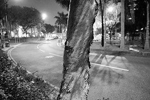 Man Kwong Street, Central, at night, 24 January 2017