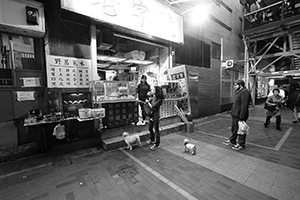 Dogs in an alleyway near Western Market, Sheung Wan, 3 January 2017