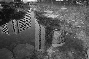 Reflection of buildings in the pond, Hong Kong Park, Central, 27 May 2017