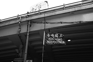 Hong Kong independence flag, annual pro-democracy march from Victoria Park, Bowrington Road, Wanchai, 1 July 2017