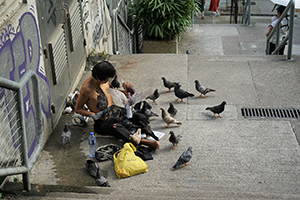 Homeless man feeding pigeons on the street, Ladder street, Tai Ping Shan, 15 August 2017