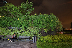 Sun Yat Sen Memorial Park at night, Sai Ying Pun, 13 September 2017