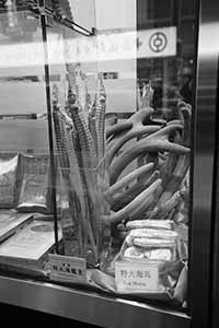 Sea horses, antlers, and various dried goods in a shop window display, Queen's Road West, Sheung Wan, Hong Kong Island, 14 December 2017