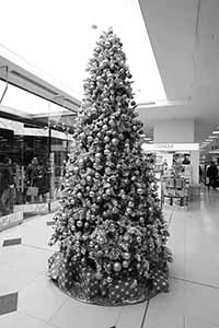 Christmas tree in Wing On Department Store, Sheung Wan, 17 December 2017
