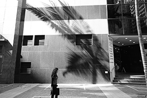 Light on Sheung Wan Post Office, Morrison Street, 3 December 2017