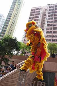 Lion dance, Queen's Terrace, Sheung Wan, 6 February 2019