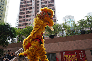 Lion dance, Queen's Terrace, Sheung Wan, 6 February 2019