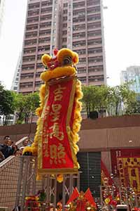 Lion dance, Queen's Terrace, Sheung Wan, 6 February 2019