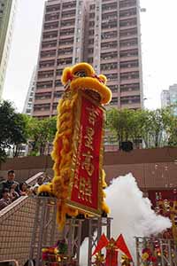 Lion dance, Queen's Terrace, Sheung Wan, 6 February 2019