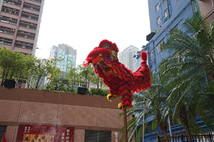 Lion dance, Queen's Terrace, Sheung Wan, 6 February 2019