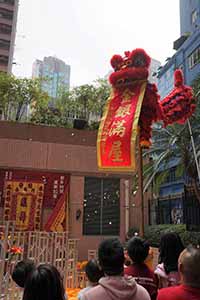 Lion dance, Queen's Terrace, Sheung Wan, 6 February 2019