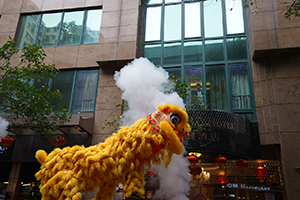 Lion dance, Minden Avenue, Tsim Sha Tsui, 9 February 2019