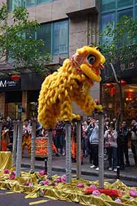 Lion dance, Minden Avenue, Tsim Sha Tsui, 9 February 2019