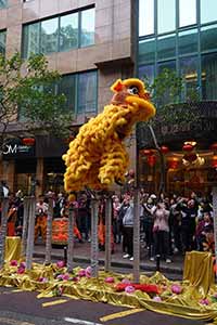 Lion dance, Minden Avenue, Tsim Sha Tsui, 9 February 2019