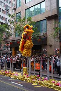 Lion dance, Minden Avenue, Tsim Sha Tsui, 9 February 2019