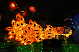 Lantern display for the Lunar New Year, outside the Cultural Centre, Tsim Sha Tsui, 21 February 2019