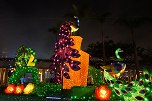 Lantern display for the Lunar New Year, outside the Cultural Centre, Tsim Sha Tsui, 21 February 2019