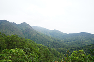 Mountain view, Pat Sin Leng Country Park, 24 February 2019