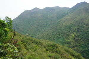 Mountain view, Pat Sin Leng Country Park, 24 February 2019