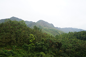 Mountain view, Pat Sin Leng Country Park, 24 February 2019