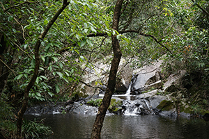 Pat Sin Leng Country Park, 24 February 2019