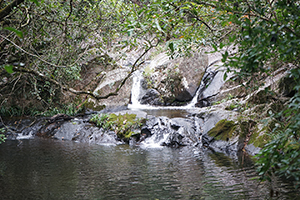 Pat Sin Leng Country Park, 24 February 2019