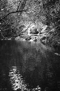 Pat Sin Leng Country Park, 24 February 2019