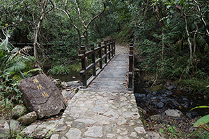 Bridge, Pat Sin Leng Country Park, 24 February 2019