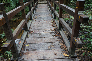 Bridge, Pat Sin Leng Country Park, 24 February 2019