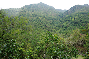 Mountain view, Pat Sin Leng Country Park, 24 February 2019