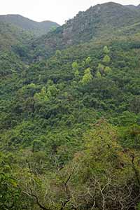 Mountain view, Pat Sin Leng Country Park, 24 February 2019