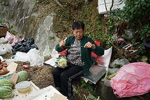 Local vegetables on sale by the roadside near Hok Tau Village, Pat Sin Leng Country Park, 24 February 2019