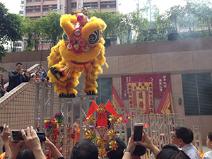 Lion dance, Queen's Terrace, Queen Street, Sheung Wan, 6 February 2019